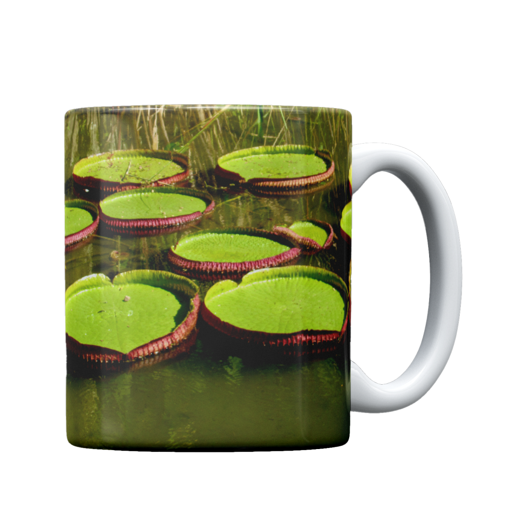 Vitória Régia - Caneca